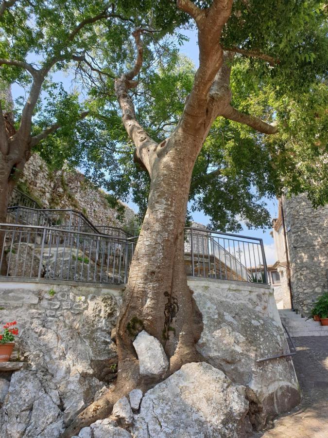 فيلا Casa Di Mamma Rosa Castelnuovo Parano المظهر الخارجي الصورة